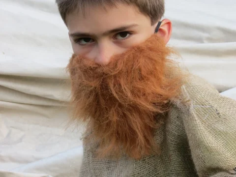 Trpaslík