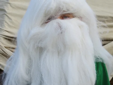 Trpaslík
