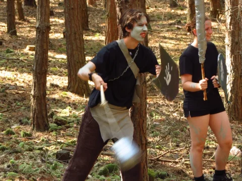 Bitva pěti armád