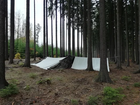 Dehetnická skála