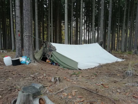 Dehetnická skála
