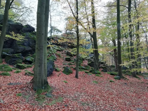 Dehetnická skála