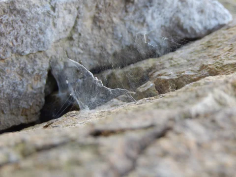 Lezení