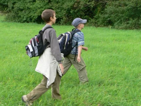 Vyjednávací tým