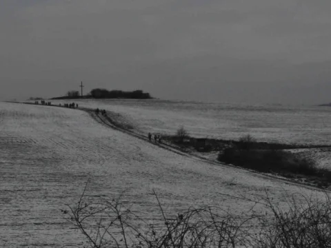 Hradiště Stradonice