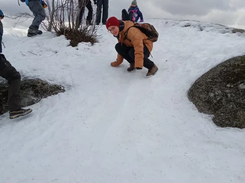 Skandie