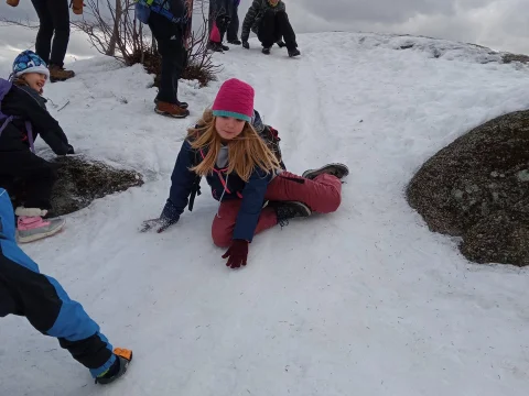 Skandie