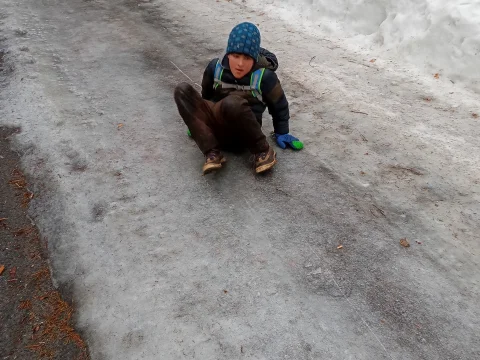 Skandie