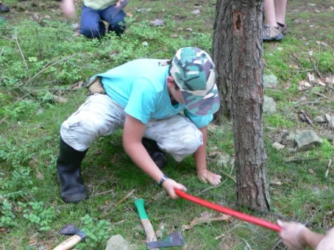 Kácení soušky