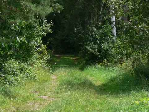 cesta z výsadku