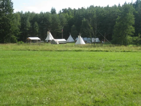Hra dinosauři
