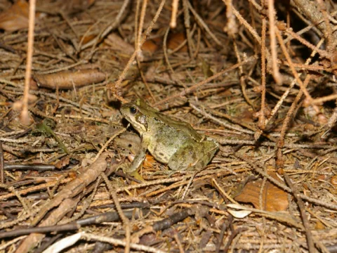 Tábor 2010 - stroj času