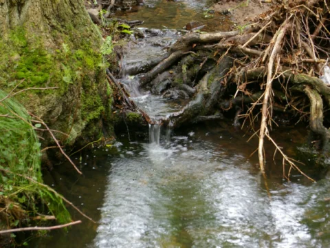 Tábor 2010 - stroj času
