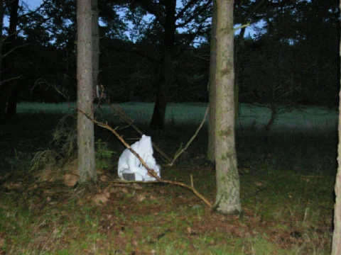 Druid
