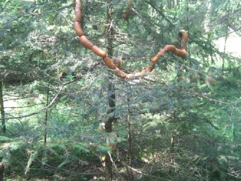 .. vyhraje pro druzinku obed ..