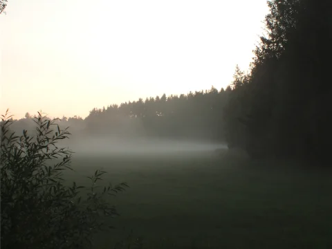 Ranní mlhy