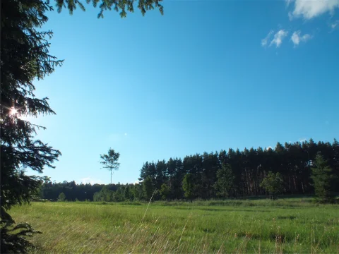 No není tu krásně?