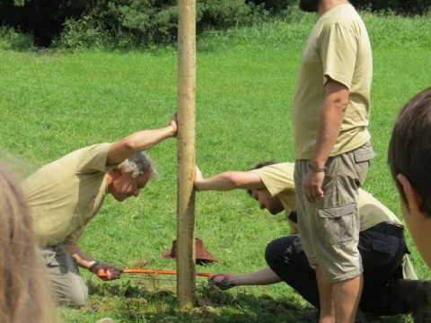 Kácení stožáru