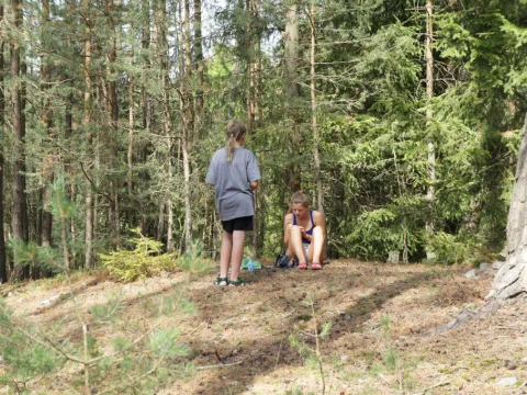 Dostavníky