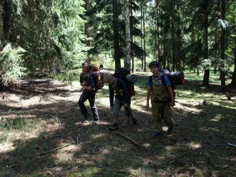 Cesta za Naginim