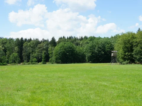 Hradová louka