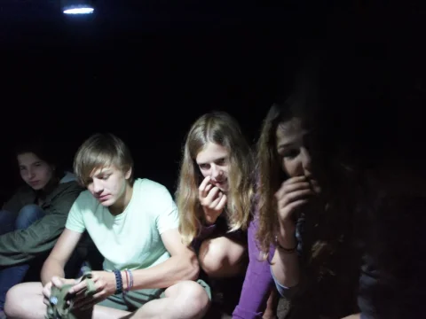 I vedoucí