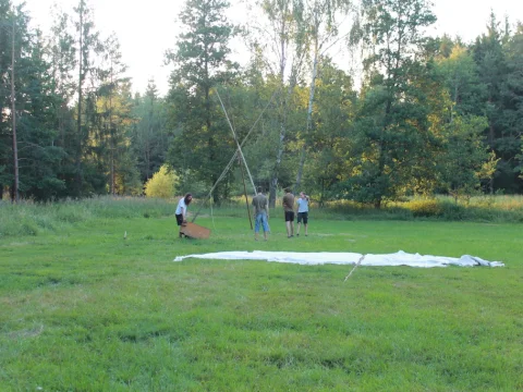 Vikingové
