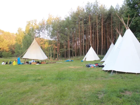 Vikingové