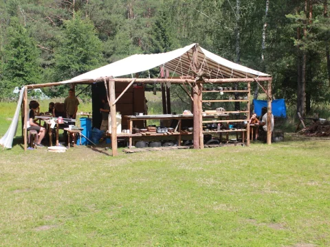 Vikingové