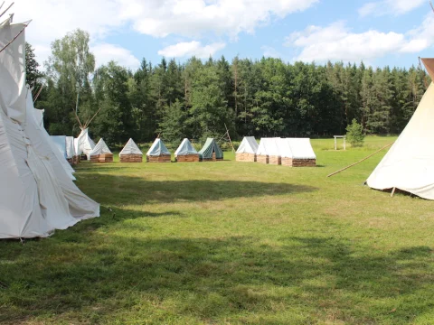 Vikingové