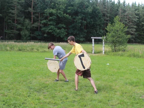 Vikingové