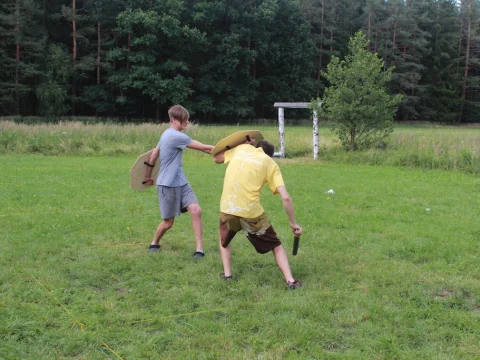 Vikingové