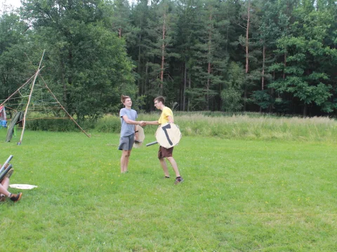 Vikingové