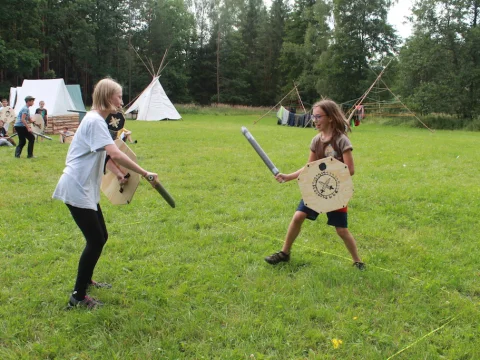 Vikingové