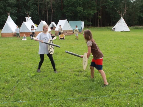 Vikingové