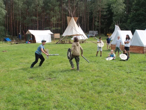 Vikingové