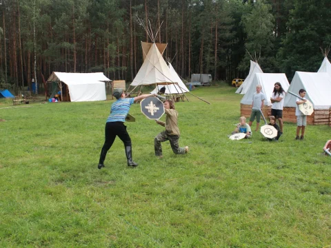Vikingové
