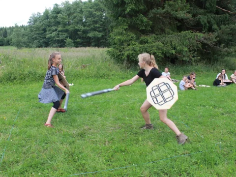 Vikingové