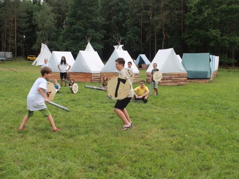 Vikingové