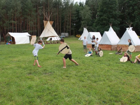 Vikingové