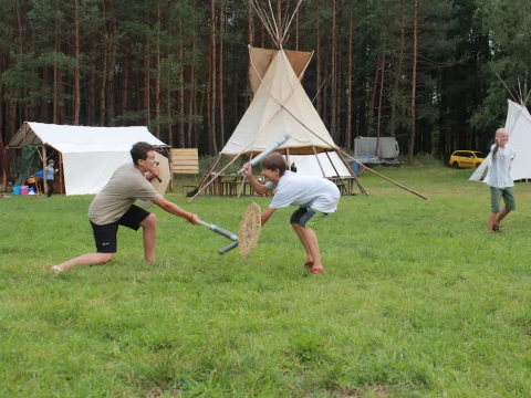 Vikingové