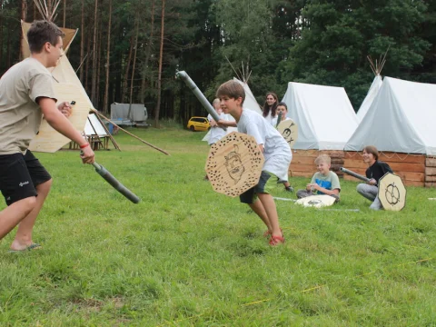 Vikingové
