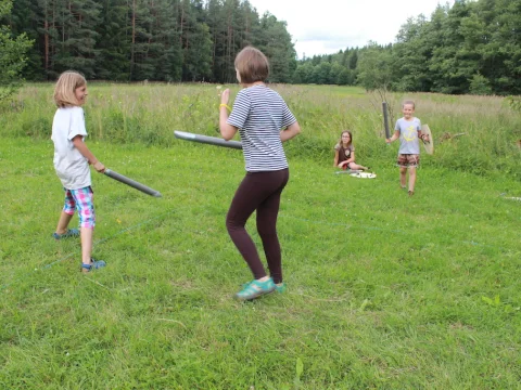Vikingové