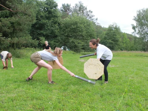 Vikingové