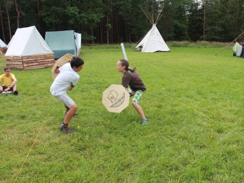 Vikingové