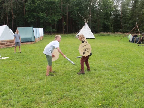 Vikingové