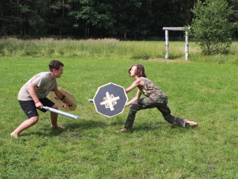 Vikingové