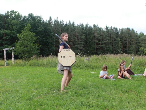 Vikingové