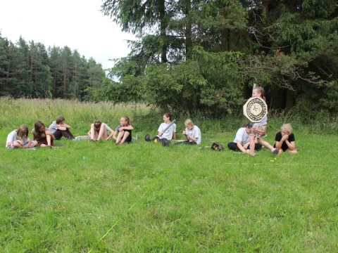 Vikingové