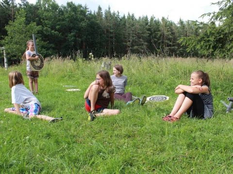 Vikingové